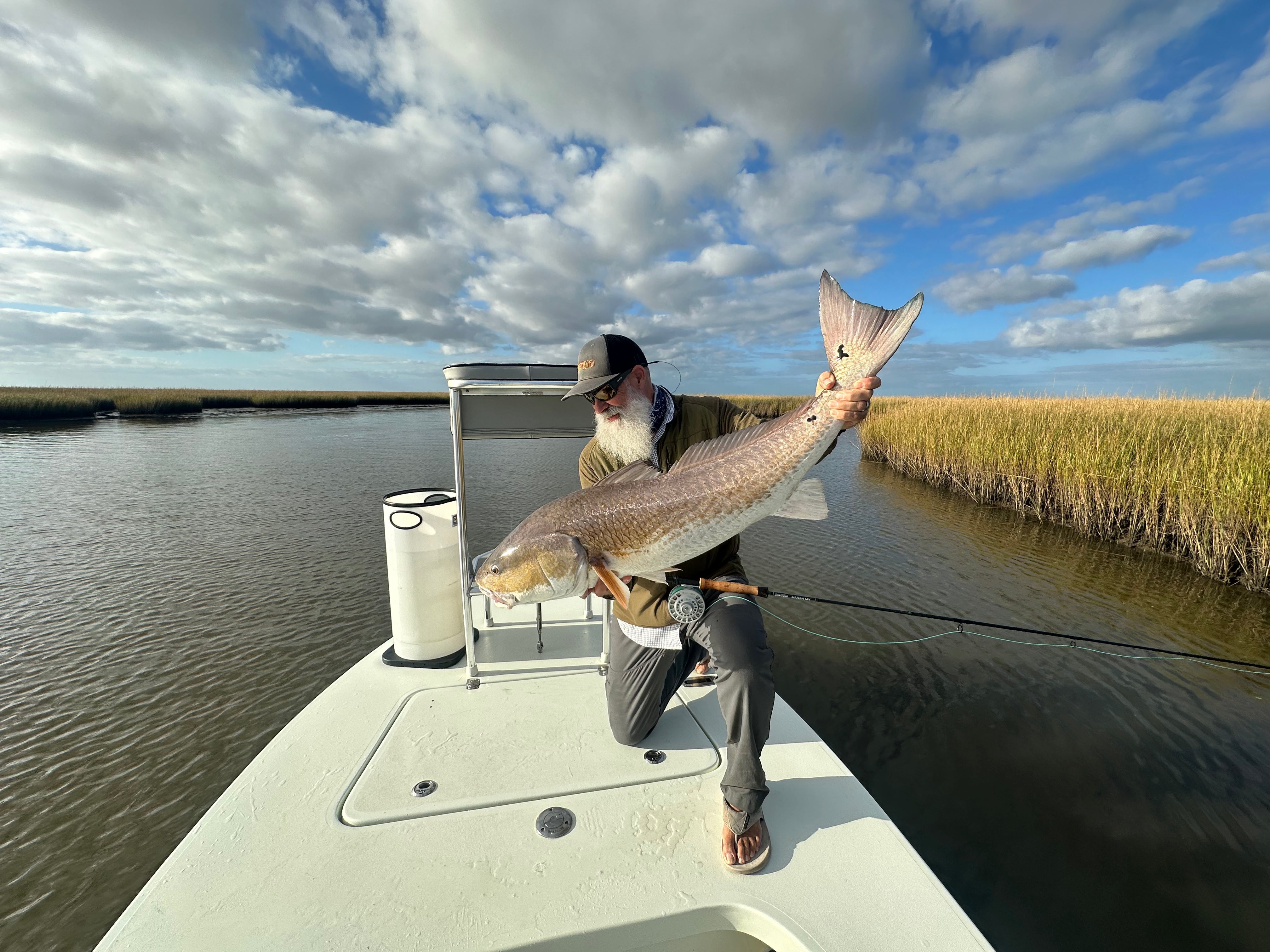 Redfish on Saltwater Fly Rod