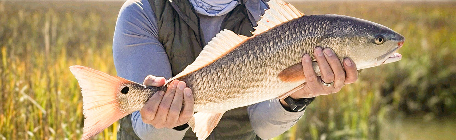 Unveiling the Thrills of Saltwater Fly Fishing for Legendary Redfish in the Lowcountry.