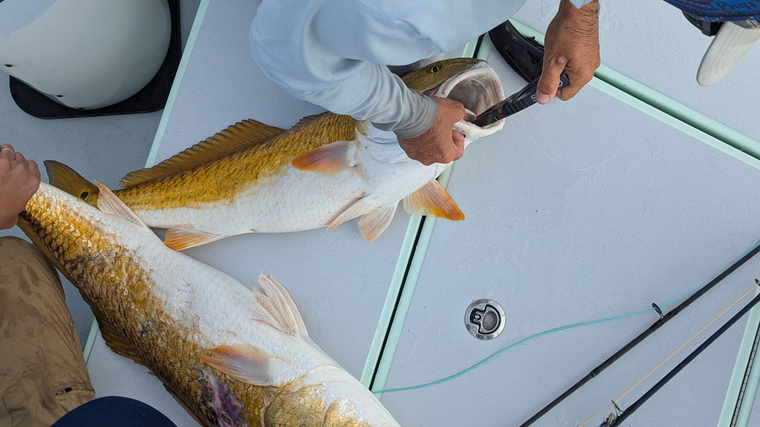 Best Fly Rod for Redfish: The Complete Redfish Fly Rod Setup Guide