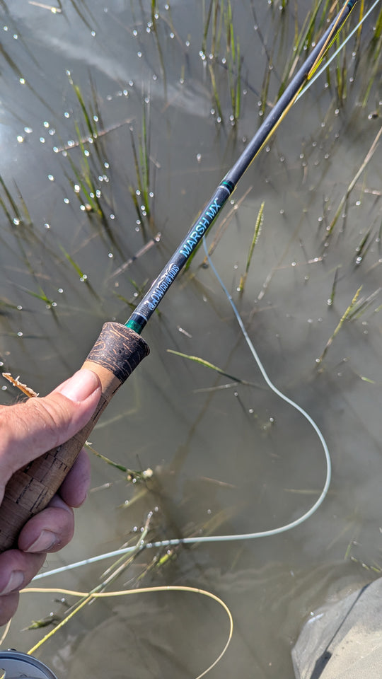 MARSH MX Saltwater fl rod